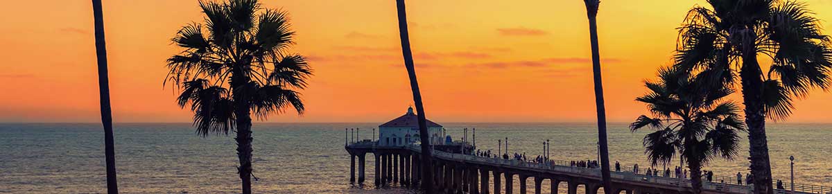 Robin Malau – Rockstar now Geek