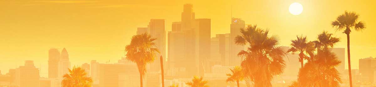 Robin Malau – Rockstar now Geek