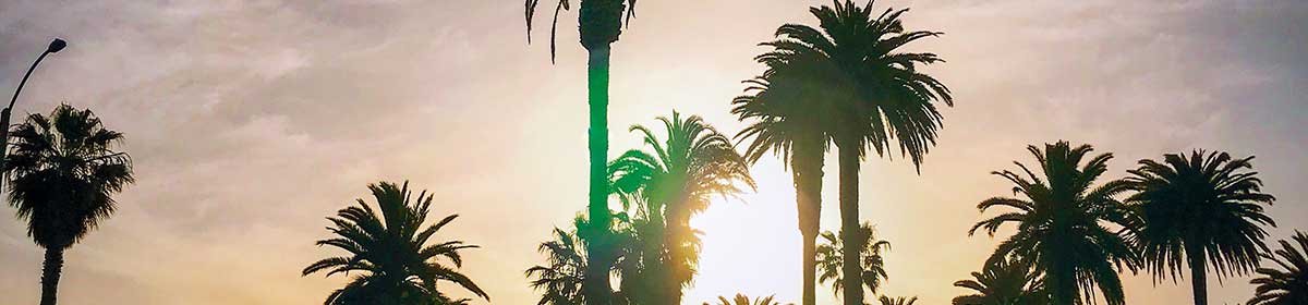 Robin Malau – Rockstar now Geek